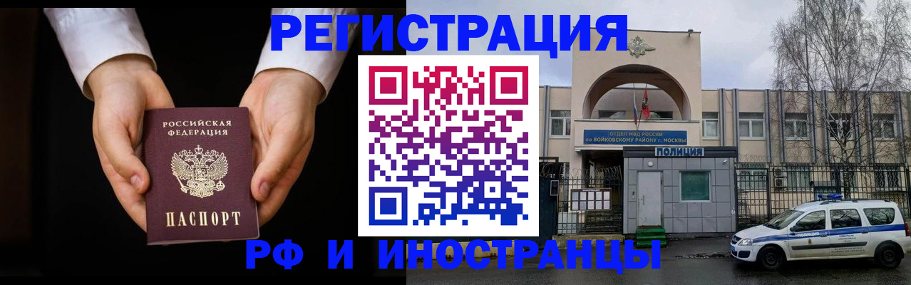 прописка поиск в Купино